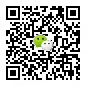 山東圣陽(yáng)電源股份有限公司